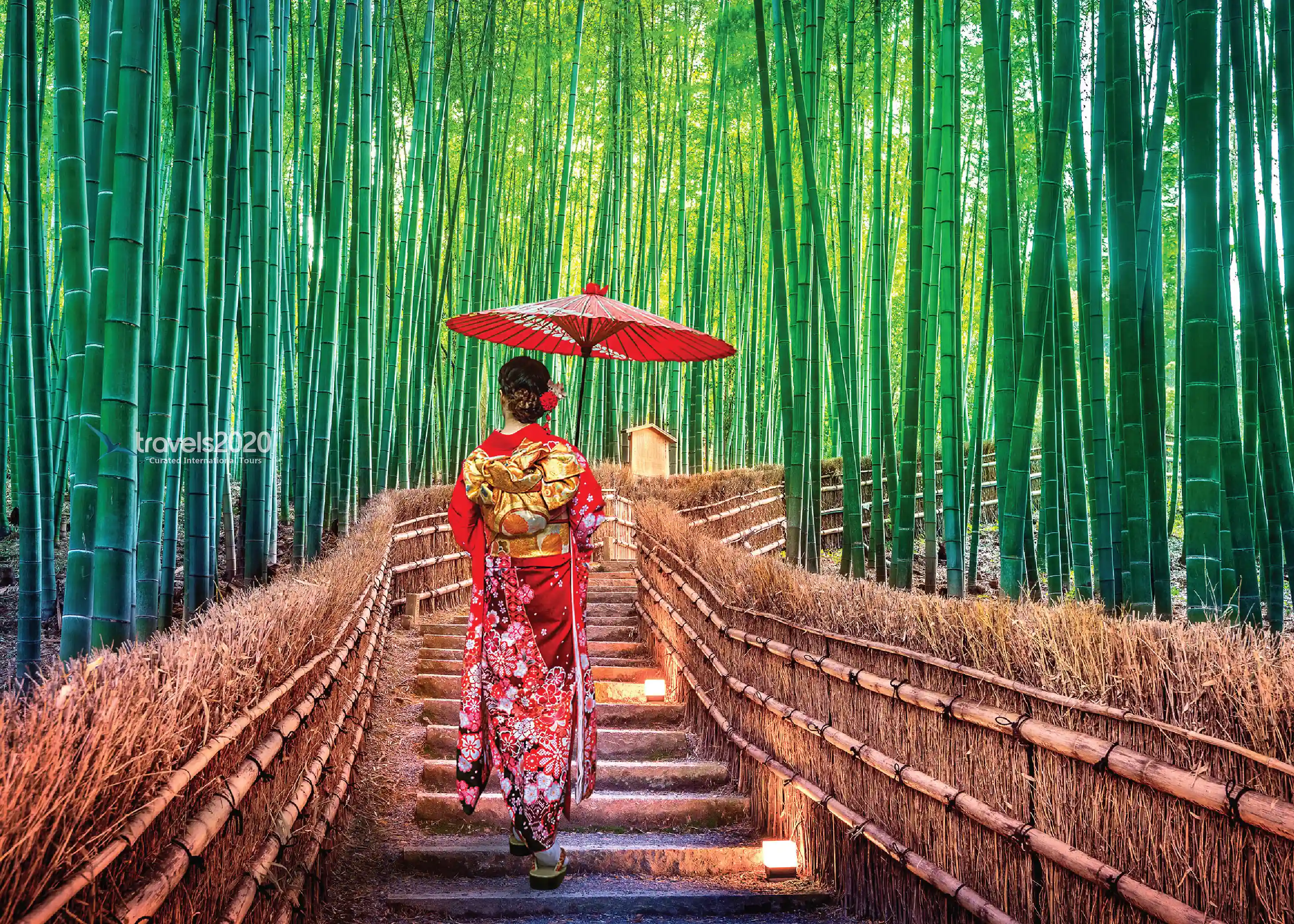 Japan Travel Package from Chennai – Best of Culture & City