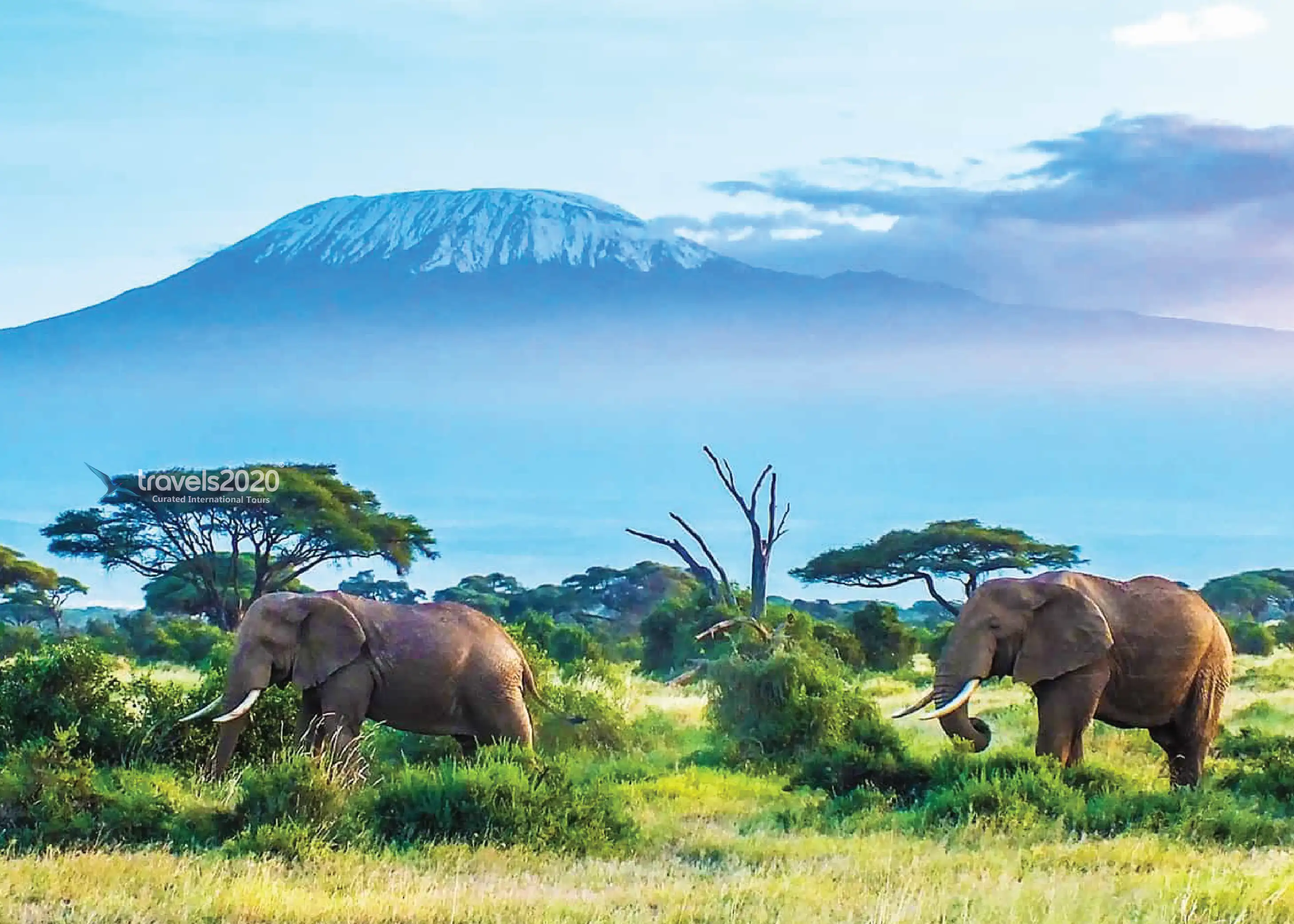 Explore Tanzania in – Best Safari Experience
