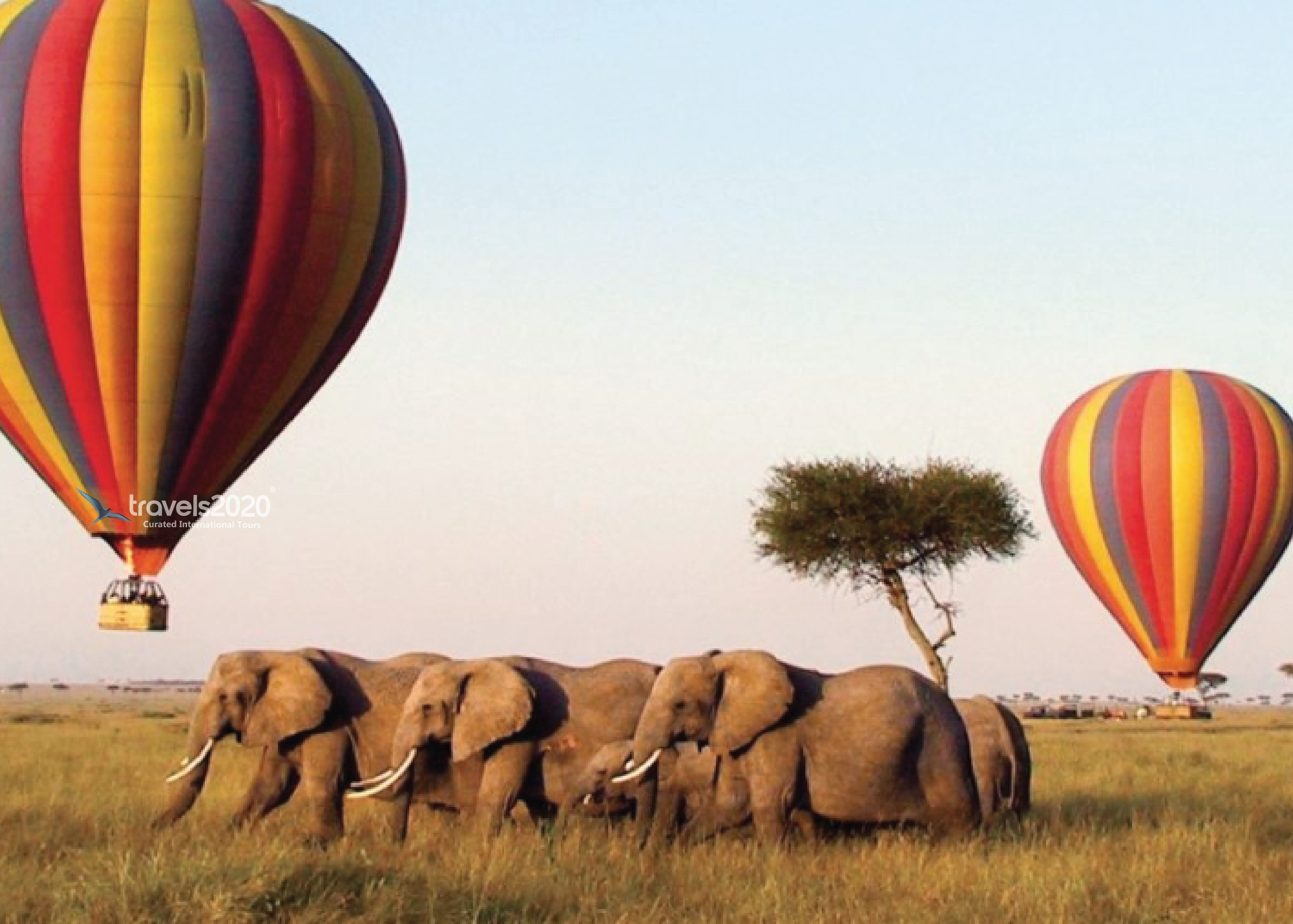 Tanzania Signature Luxury Safari Tour